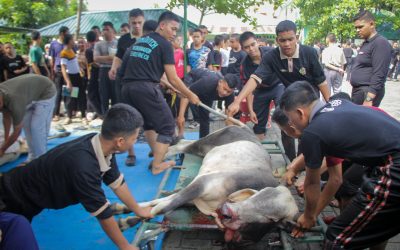Semarak Hari Raya Idul Adha 1447 H di Pesantren Ar-Raudlatul Hasanah